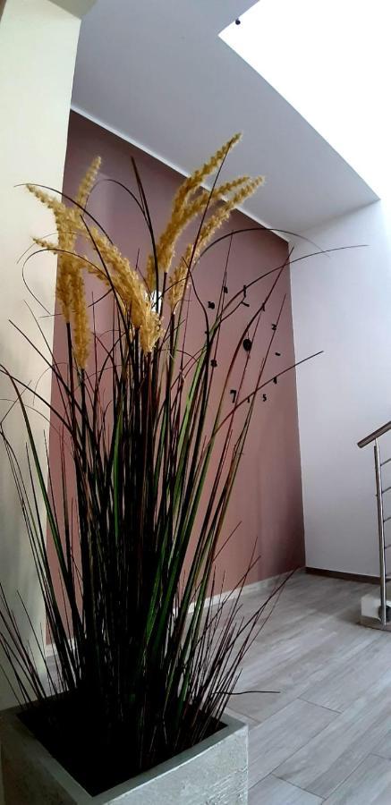 B&B Filieri Santa Maria al Bagno Dış mekan fotoğraf